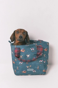 Ланчбокс с принтом в виде собак