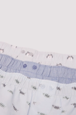 Набір із 3 пар трусів