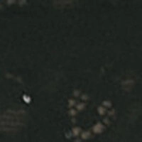 GORGEOUS Бюстгальтер push up з блискучого мережива