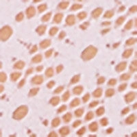 BEAUTIFUL білий бюстгальтер з квітковим мереживом