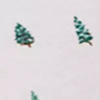 Широкі класичні бавовняні мереживні трусики білого кольору