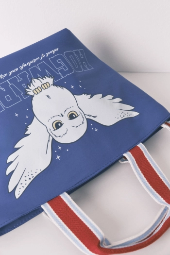 Ланчбокс Hedwig