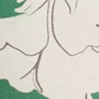 Зелені трусики-бікіні з квітковим принтом