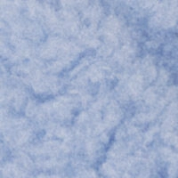 Сині капці з принтом Mickey