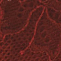 Червоні трусики-танга