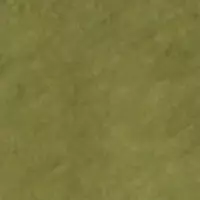 Футболка с короткими рукавами из хлопка зеленого цвета