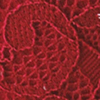 GORGEOUS Бюстгальтер push up з блискучого мережива