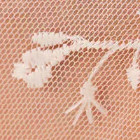 Трусики-стринги из тюля с цветочной вышивкой цвета слоновой кости