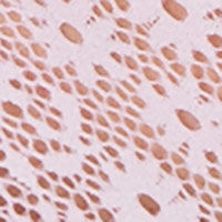 Білі трусики-танга з квітковим мереживом