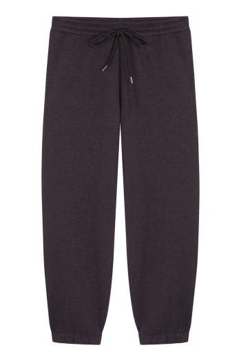 Довгі штани Carrot з тонкого сірого флісу