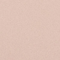 Бежевые шортики clean cut