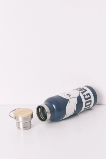 Металева пляшка для води Harry Potter