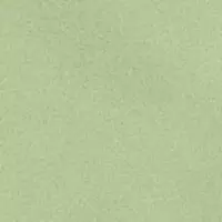 Сверхлегкие шорты лаймового цвета с сетчатой подкладкой