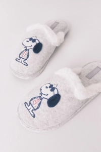 Snoopy, Mickey & Co